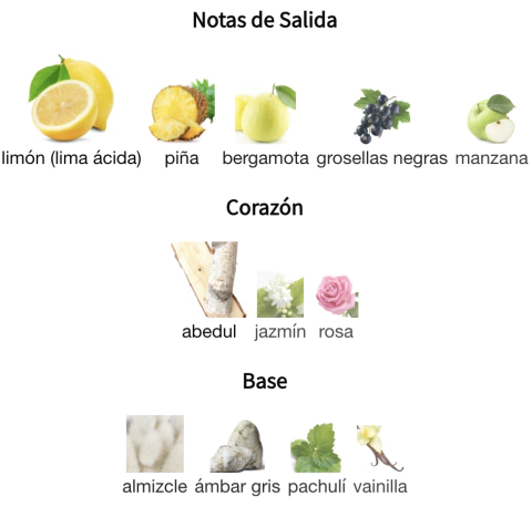 captura-de-pantalla-2024-03-10-a-las-10-48-45-514319eb7a9e88299217100785466558-480-0 ARMAF - Club de Nuit Intense - 100 ML